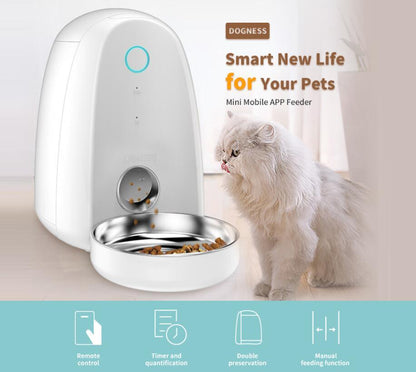 Feed Furry Fun: Never Miss a Meal with the Smart Pet Feeder