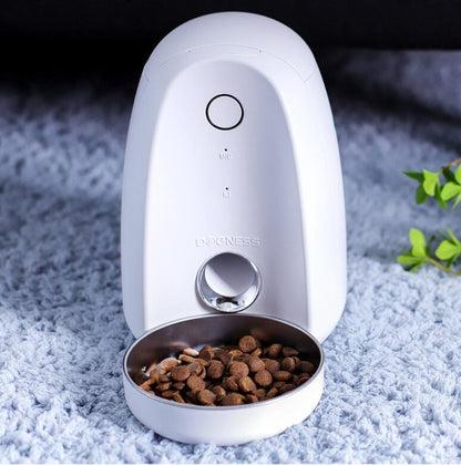 Feed Furry Fun: Never Miss a Meal with the Smart Pet Feeder