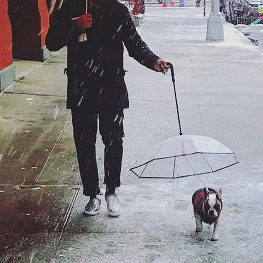 Walkies, Rain or Shine: The Happy Pup Umbrella