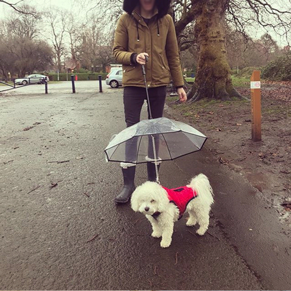 Walkies, Rain or Shine: The Happy Pup Umbrella