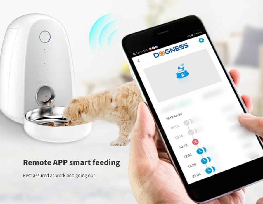 Feed Furry Fun: Never Miss a Meal with the Smart Pet Feeder